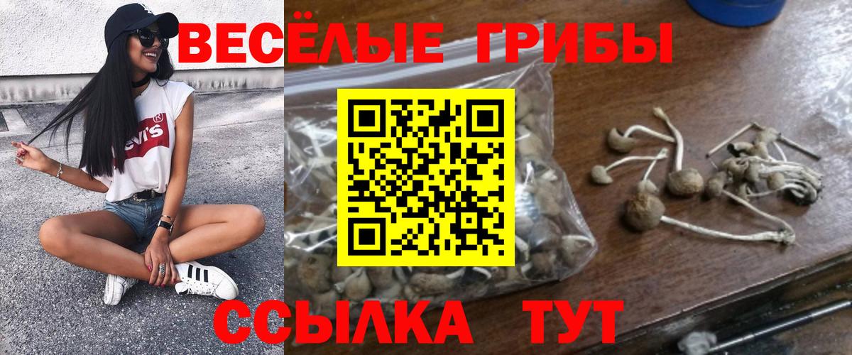 Псилоцибиновые грибы прущие грибы  Галлюциногенные грибы Cubensis  Вход с VPN  закладка  Арсеньев 